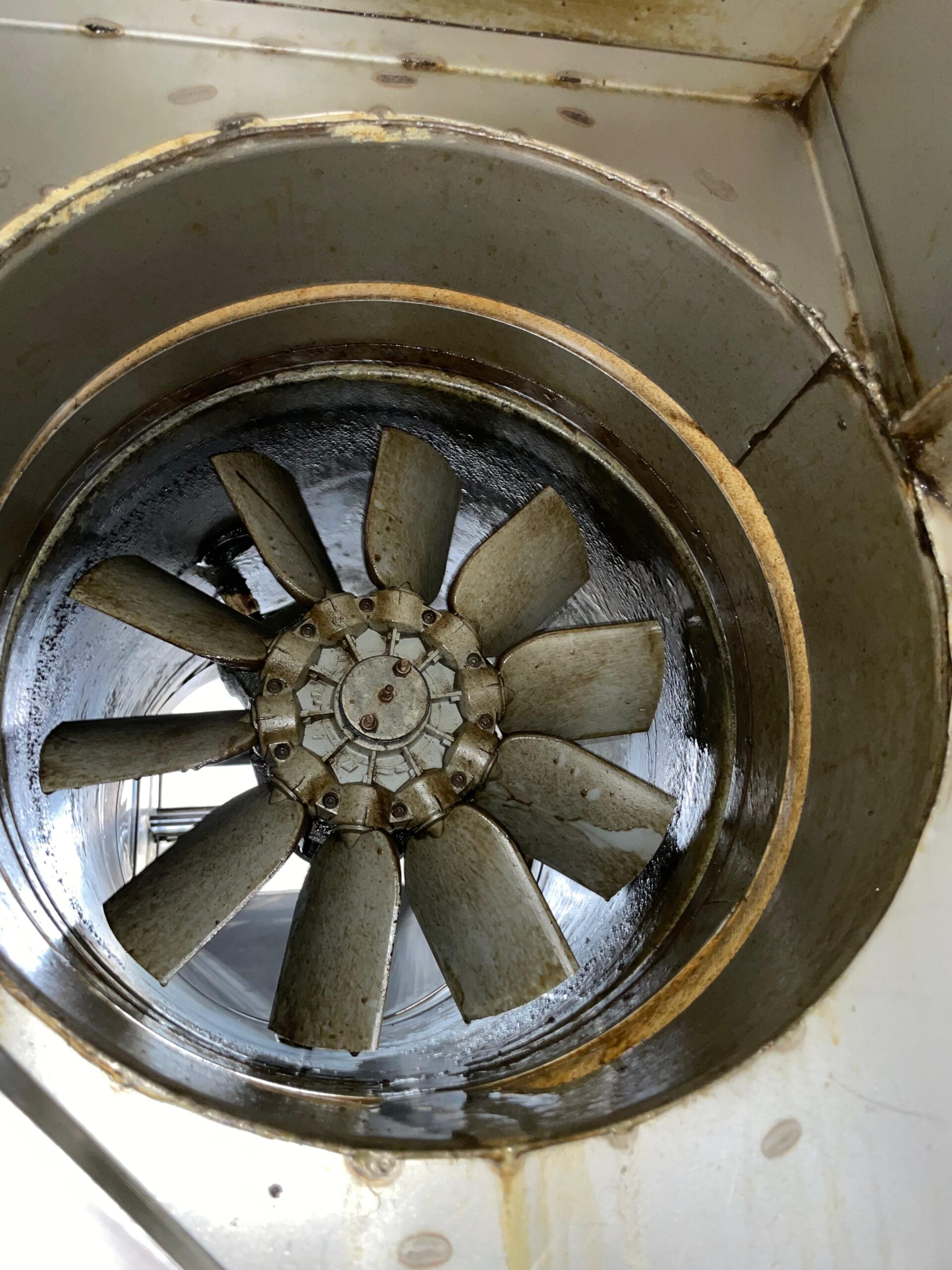 Before image